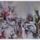 Imga0533_242033_70973_t