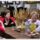 Imga0541_242041_49792_t