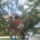 Kedvenceim16_5-016_242774_26426_t