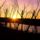 Lake_wilson_sunset_kansas_242209_90904_t