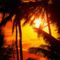 Maui_Sunset