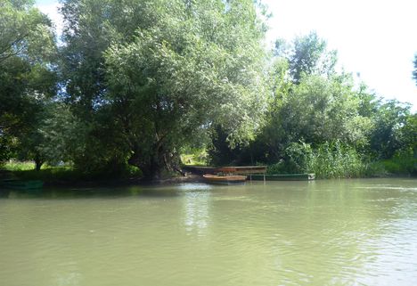 Mosoni-Duna bal partja a Magyarkimle belterülete mellett, Kimle 2017. július 25.-én 7