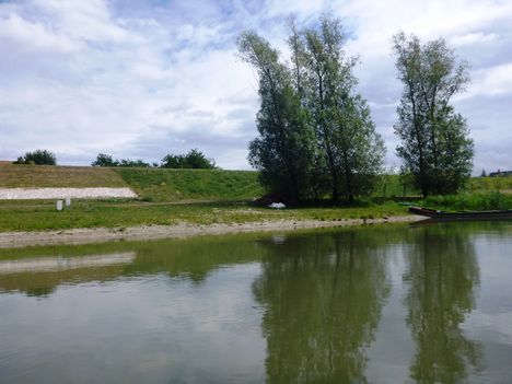 Mosoni-Duna Győrzámoly község melletti szakaszon, 2017. július 26.-án 1
