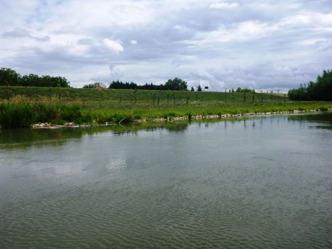 Mosoni-Duna Győrzámoly község melletti szakaszon, 2017. július 26.-án 2