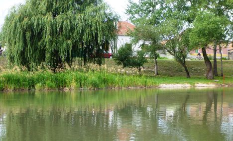 Mosoni-Duna Mecsér község belterülete melletti szakaszon, Mecsér 2017. július 26.-án 18