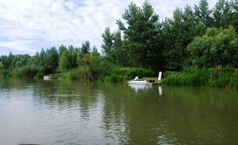 Mosoni-Duna Mecsér község belterülete melletti szakaszon, Mecsér 2017. július 26.-án 22