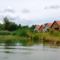 Mosoni-Duna bal part, a Malomdülő melletti vizes élőhelyen, Máriakálnok 2017. július 25.-én