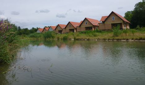Mosoni-Duna bal part, a Malomdülő melletti vizes élőhelyen, Máriakálnok 2017. július 25.-én 2