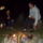 Dsc00063_244497_58441_t
