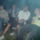 Dsc00086_244518_92141_t