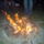 Dsc00093_244525_17186_t