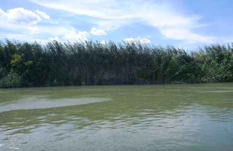 Mosoni-Duna Magasparti-sziget feletti szakasz, Máriakálnok 2017. július 25.-én  2