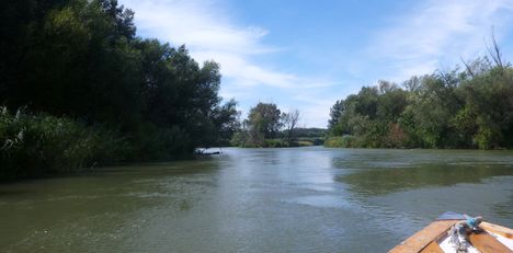 Mosoni-Duna Magasparti-sziget feletti szakasz, Máriakálnok 2017. július 25.-én  3