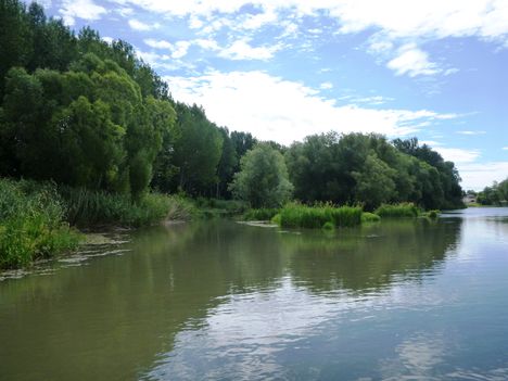 Mosoni-Duna Mecsér község feletti szakaszon, 2017. július 26.-én 4