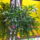 Oviba_gyermeknap_varosnap_153_244763_94459_t