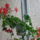 Oviba_gyermeknap_varosnap_156_244766_22007_t