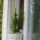 Oviba_gyermeknap_varosnap_167_244777_65409_t