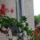 Oviba_gyermeknap_varosnap_168_244778_26914_t