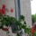 Oviba_gyermeknap_varosnap_169_244779_12757_t