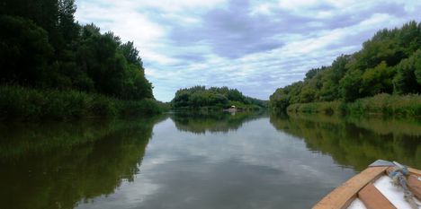 Sátortáborozók a Mosoni-Dunán, a Sztari szigeten, Kimle 2017. július 26.-án  1