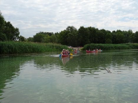 Vizitúrázók a Görgetegi Duna-ág mellett, Dunakiliti 2017. július 07.-én 1