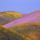 Ablaze_with_spring_colors_gorman_california_245422_30060_t