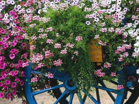 Colorful_Flower_Cart