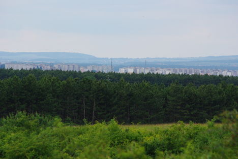 Litéri tájképek.Cser-erdő nyugati oldaláról szép kilátás van Veszprémre.