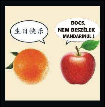 Mandarin!