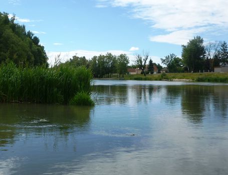 Mosoni-Duna Mecsér község belterülete feletti szakaszon, 2017. július 26.-án 1