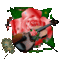 Hegedű és rózsa