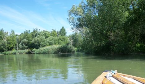 Mosoni-Duna a Cvika mellékágak feletti szakaszon, Kimle 2017 július 25 (3)