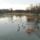 Sarberek_17_246894_24469_t