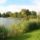 Sarberek_8_246885_19571_t