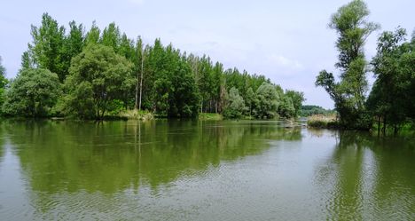 Gatyai (Szilfási) Duna-ág alsó szakasza, Ásványráró 2017. május 15.-én 1