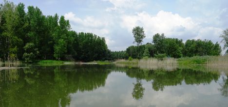Gatyai (Szilfási) Duna-ág alsó szakasza, Ásványráró 2017. május 15.-én 8