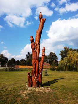 Panoráma Hotel kertje, Mosonmagyaróvár 2017. szeptember 29.-én 4