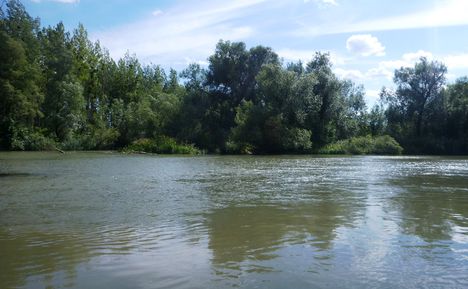 Mosoni-Duna a Cseregle-sziget feletti szakaszon, Kimle 2017. július 25.-én
