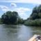 Mosoni-Duna a Cseregle-sziget feletti szakaszon, Kimle 2017. július 25.-én