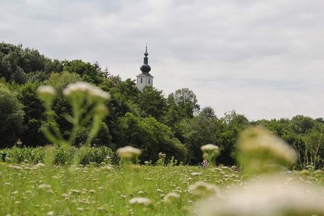 Szigethy Ferenc: A SZERETET DICSÉRETE