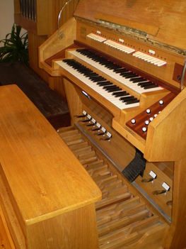 templomi orgona