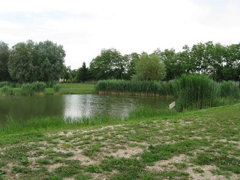 Gyereknap2009-017