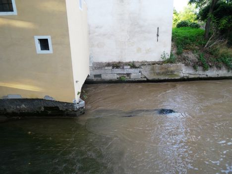 A 130 éve épített vizimalom helyén még ma is működik a Márialigeti vízerőtelep, Hegyeshalom 2016. augusztus 22.-én 4