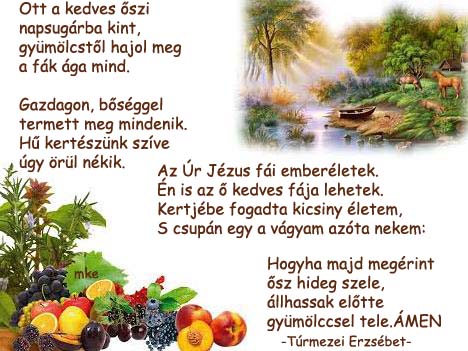 Az Úr Jézus fái