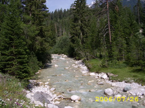 folyó és az erdő