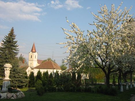 Tavaszi kép háttérben a református templom