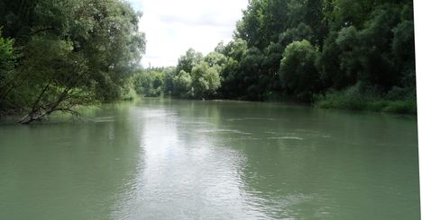 Újszigeti Duna-ág a Szigetközi hullámtéri vízpótlórendszerben, Lipót 2016. július 14.-én 3
