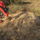 Gally_aprito-001_2051536_9706_t