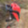 Gally_aprito_2051535_5819_t