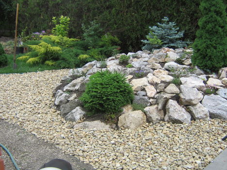 2009.0606 001